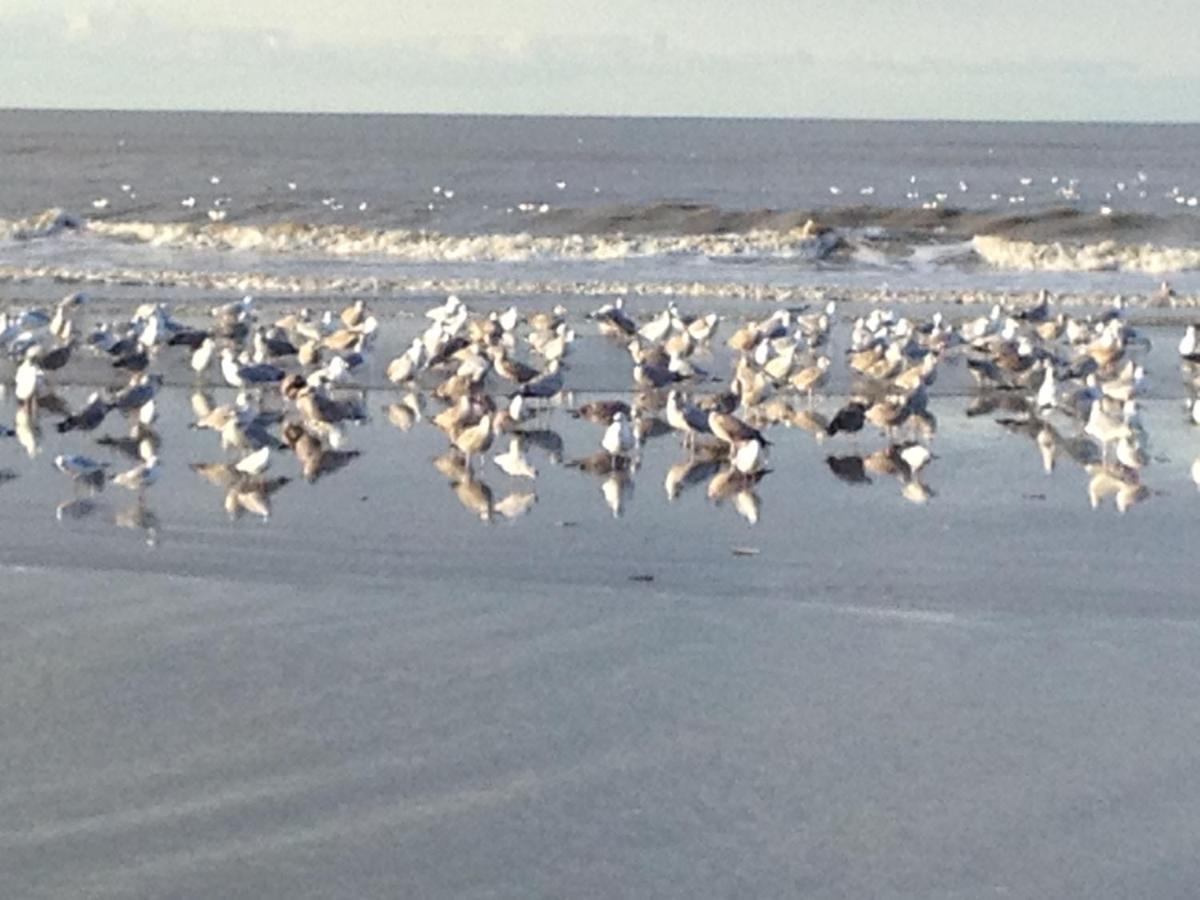 Strand En Meer Katwijk aan Zee Bagian luar foto